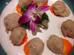 -青瓷火锅料理(西单大悦城店)