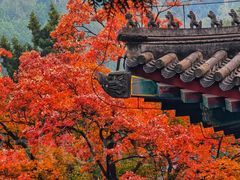 -香山公园