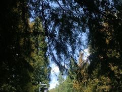 -贵阳市花溪国家城市湿地公园