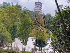 -深圳国际园林花卉博览园