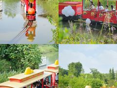 -江门古劳水乡旅游区