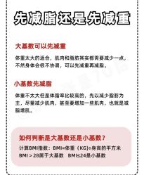 -Fundi张玉珊修身堂·indiba·BTL科技瘦身