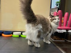 -瑞派天宁宠物医院·猫科·异宠中心