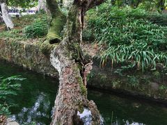 -桂林灵渠景区
