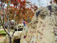 -广州市帽峰山景区