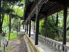 -八大山人梅湖景区