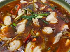 -花鲢鱼头火锅(春城东路店)