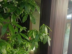 -阿伟海鲜楼·福建菜(涵江店)