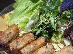 越南春卷-大头虾越式风味餐厅(光明广场店)