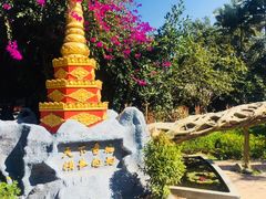 -瑞丽独树成林风景区