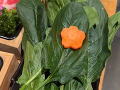 -湊湊火锅·茶憩(皇姑万象汇店)