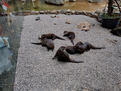 -昆明动物园