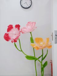 -苗方清颜专业祛痘
