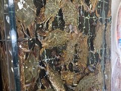 -好兄弟郭巨海鲜(天一阁店)