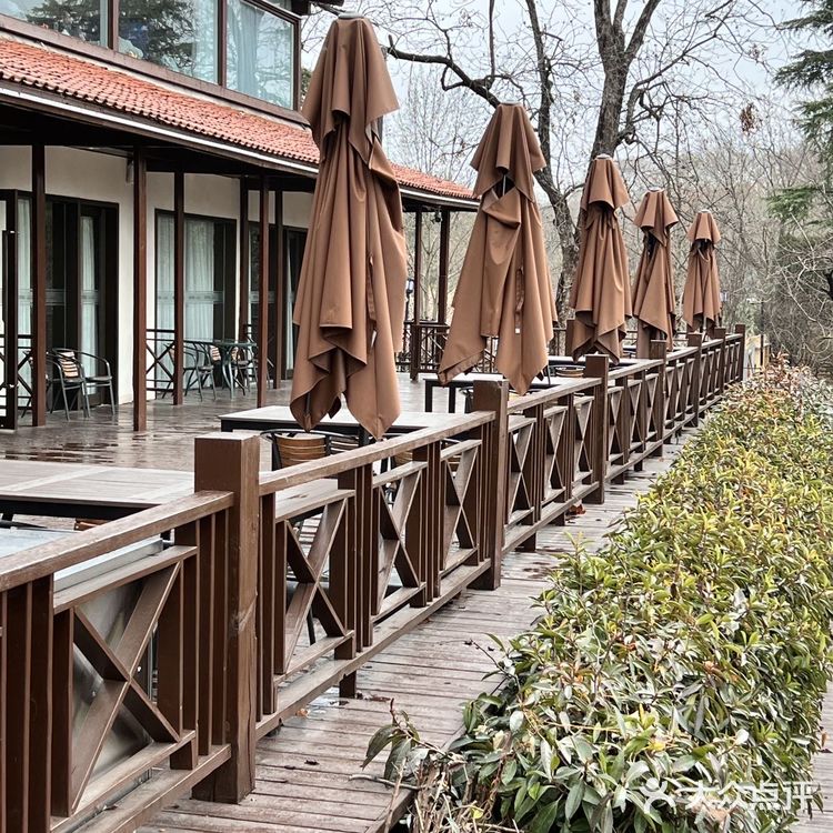 南京藏在中山陵里的绝美中餐厅！爸妈都很爱[爱心]