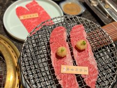 -老乾杯(深圳湾万象城店)