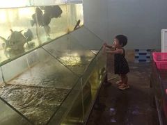 -田源农家饭店·窑鸡王·海鲜(东部湾·融创店)
