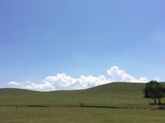 -张北坝上草原
