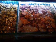 -喜多鲜生海鲜自助(无锡旗舰店)