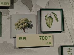 -中国湿地博物馆
