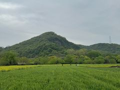 -八卦田遗址公园