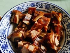 -食家鸽园