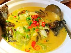 黄焖鲫鱼-小稻田辣椒炒肉(大浪商业中心店)