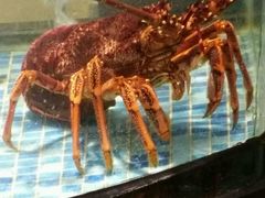 -麦斯汀烘焙坊(建昌兴隆店)