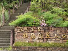 -铁山坪森林公园