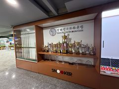 -丁俊晖台球俱乐部(海上海·弘基休闲广场店)