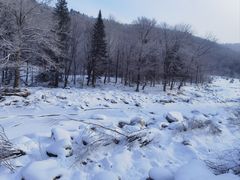 -雪谷