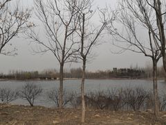 -东郊湿地公园