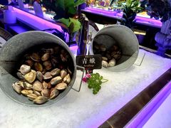 -加餐海鲜自助(宝龙一城店)