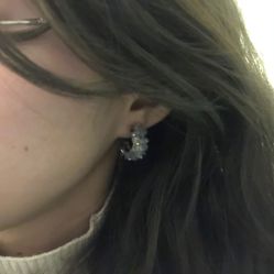 -爱维丽
