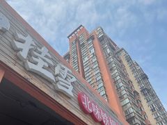 -挂雪铁锅炖大鹅
