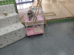 -Moni星球萌宠·小马宝莉·灵蛇·高端高阶全萌宠互动体验俱乐部(红豆国际广场店)