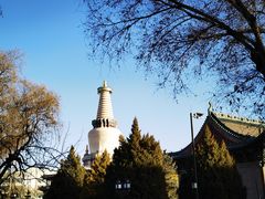 -张掖大佛寺景区