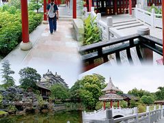 -顺峰山公园