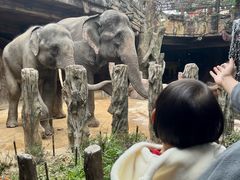 -长鹿旅游休博园