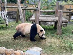 -杭州野生动物世界