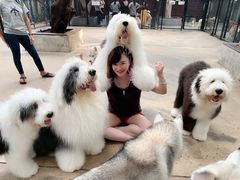 -TrueLove @ Neverland (Husky Cafe)