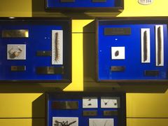 -上海昆虫博物馆