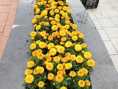 -南宁南湖公园