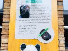 -熊猫厨房