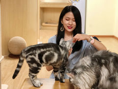 -猫和宫(六道口店)