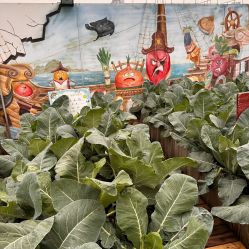 -梦田都市农场(银泰城店)