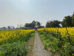 -桤木河湿地公园