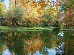 -上海共青森林公园