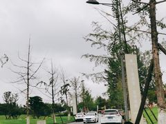 -两河城市森林公园