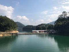 -广州市流溪河国家森林公园